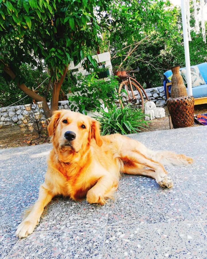 L'Onda Oda Bodrum Exterior photo